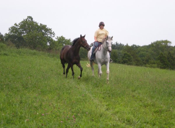 Erica jogging another horse