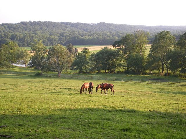 july sunset on the meadow