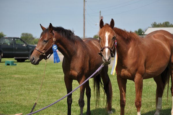 kenny and muffy with ribbons