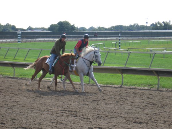 spirit track Aug photo 2008