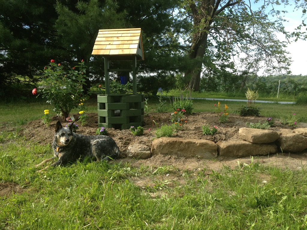 View of the Frosty and the wishing well